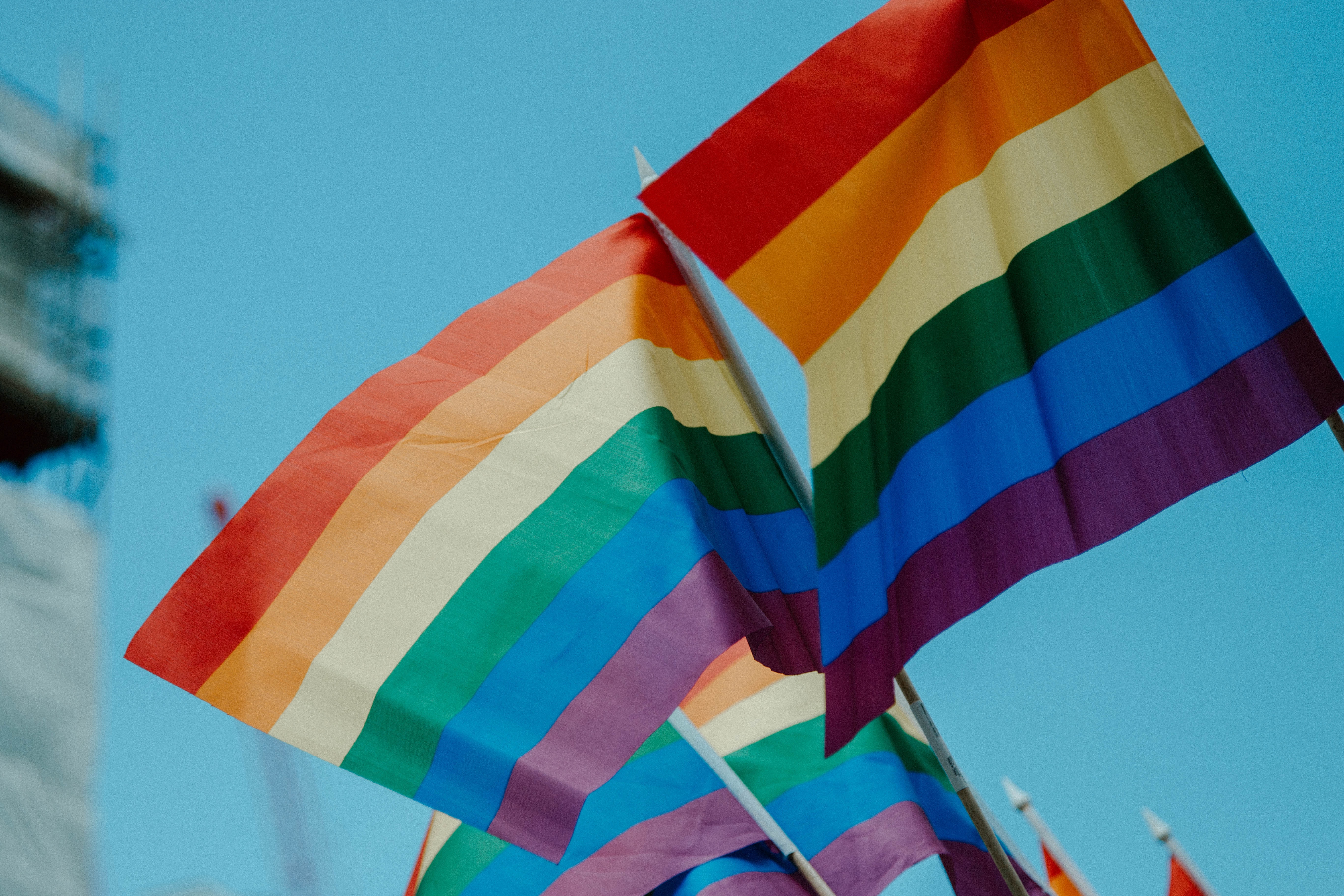 Pride flags in the wind, on a blue sky backdrop.